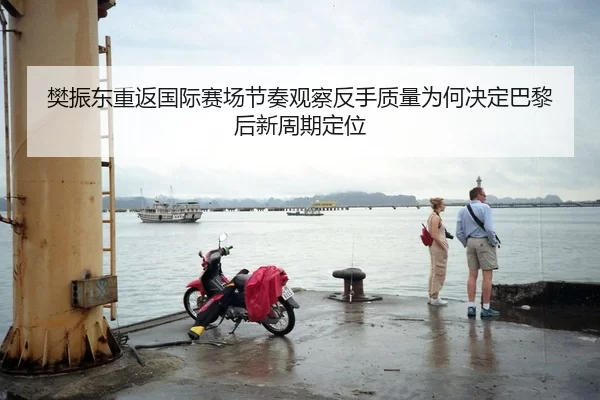 樊振东重返国际赛场节奏观察反手质量为何决定巴黎后新周期定位