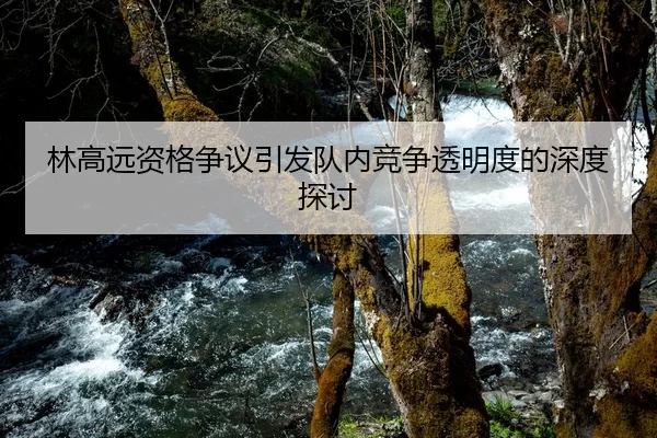 林高远资格争议引发队内竞争透明度的深度探讨