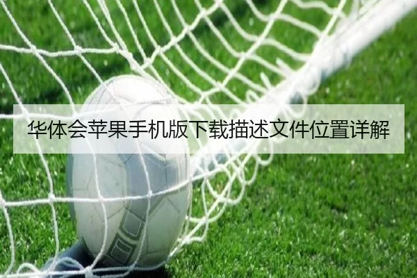 华体会苹果手机版下载描述文件位置详解