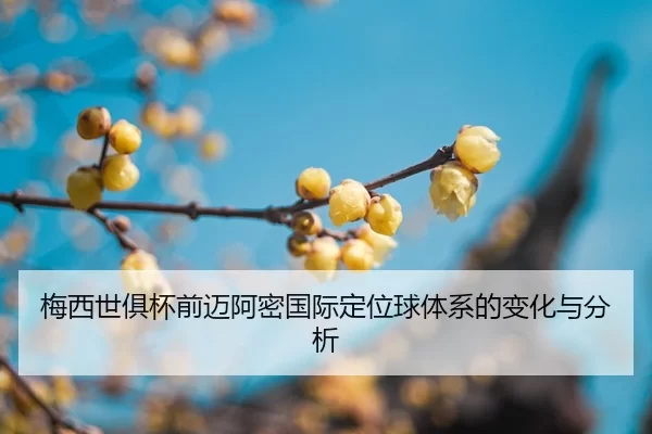 mei-xi-shi-ju-bei-qian-mai-a-mi-guo-ji-ding-wei-qiu-ti-xi-de-bian-hua-yu-fen-xi-2-570.jpg