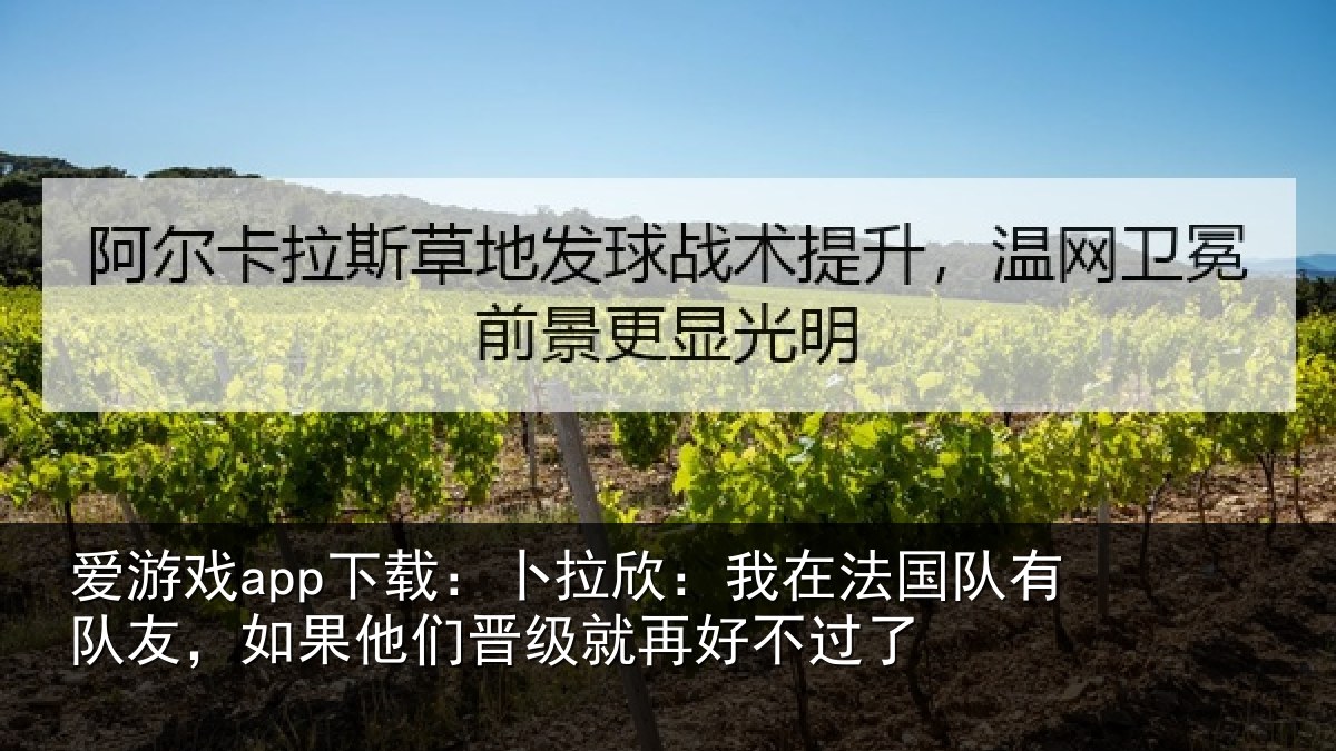 爱游戏app下载:卜拉欣:我在法国队有队友,如果他们晋级就再好不过了